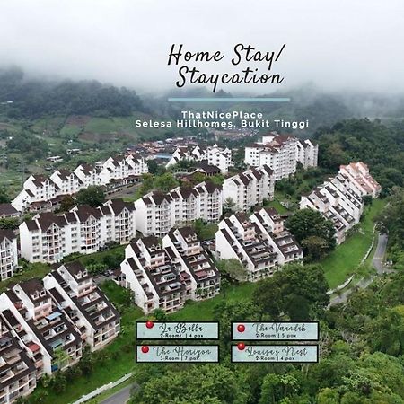 Thatniceplace, Selesa Hillhomes, Bukit Tinggi, Janda Baik, Genting Bentong Exterior foto
