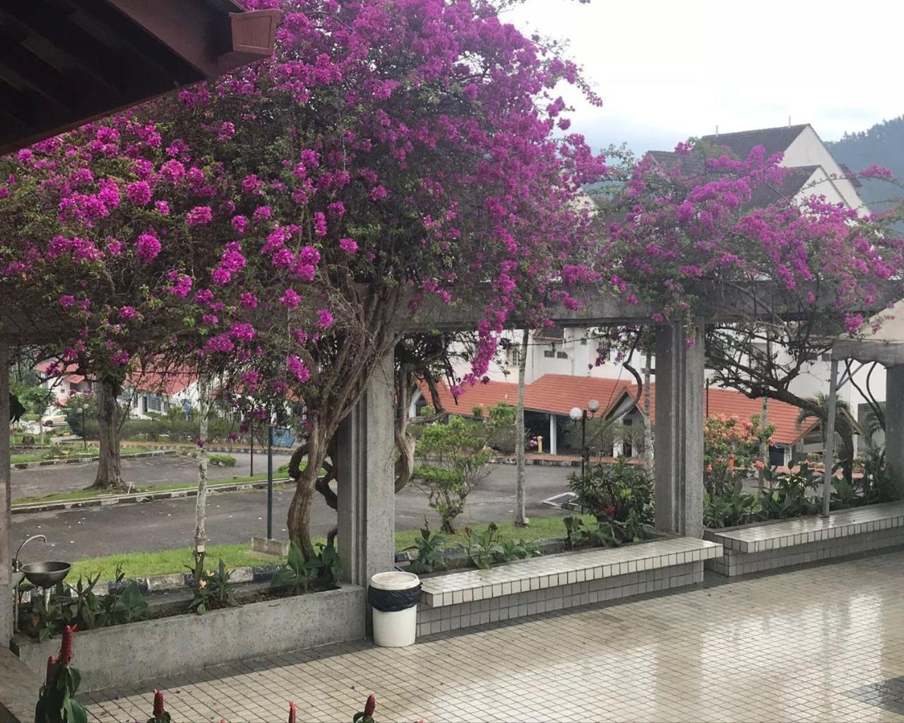 Thatniceplace, Selesa Hillhomes, Bukit Tinggi, Janda Baik, Genting Bentong Exterior foto